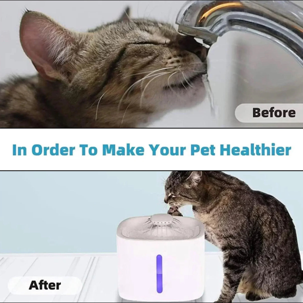 Buy Affordable Cat Water Fountain, 101oz/3L With 3 Flow Modes in Dubai - UAE | Cheap Price