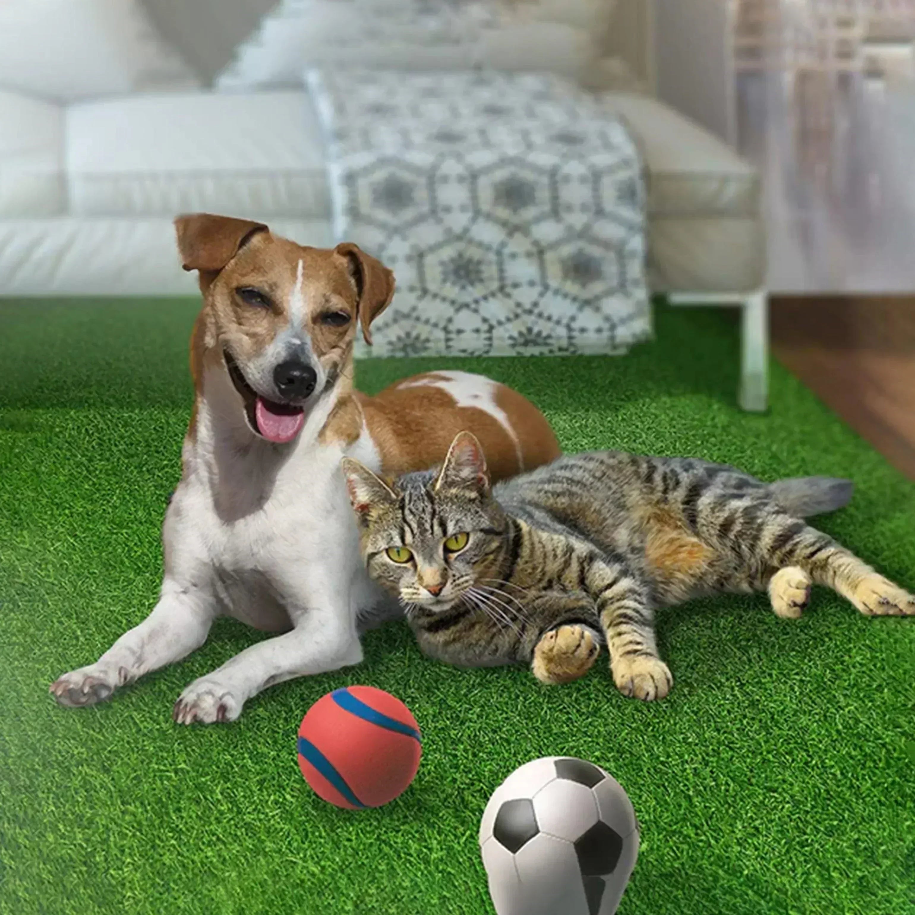 Buy Affordable Artificial Grass for Dogs Pee Pads in Dubai - UAE | Cheap Price