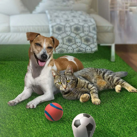 Buy Affordable Artificial Grass for Dogs Pee Pads in Dubai - UAE | Cheap Price