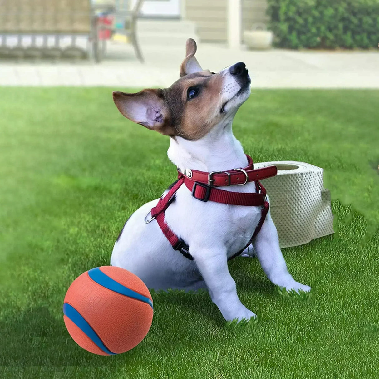 Buy cheap and affordable sofas, chairs, lights, lamps, and home decor items online at factory wholesale prices in Dubai, Sharjah, Abu Dhabi, and across the UAE.