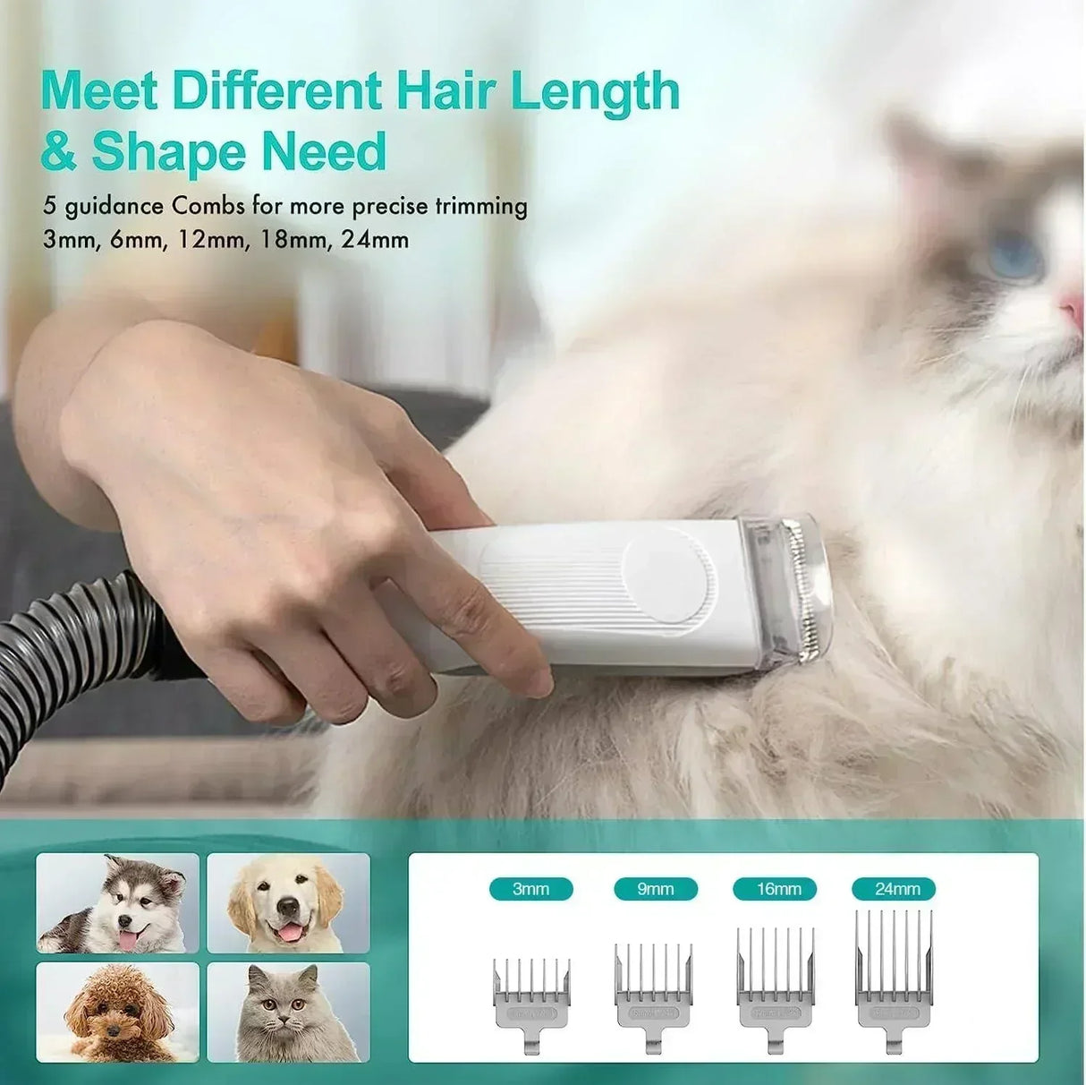 Buy Affordable HOCC P1 Pro Pet Grooming Kit & Vacuum Suction. in Dubai - UAE | Cheap Price