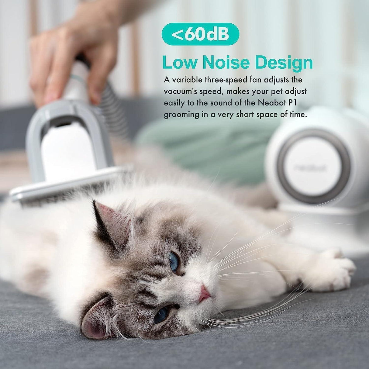 Buy Affordable HOCC P1 Pro Pet Grooming Kit & Vacuum Suction. in Dubai - UAE | Cheap Price