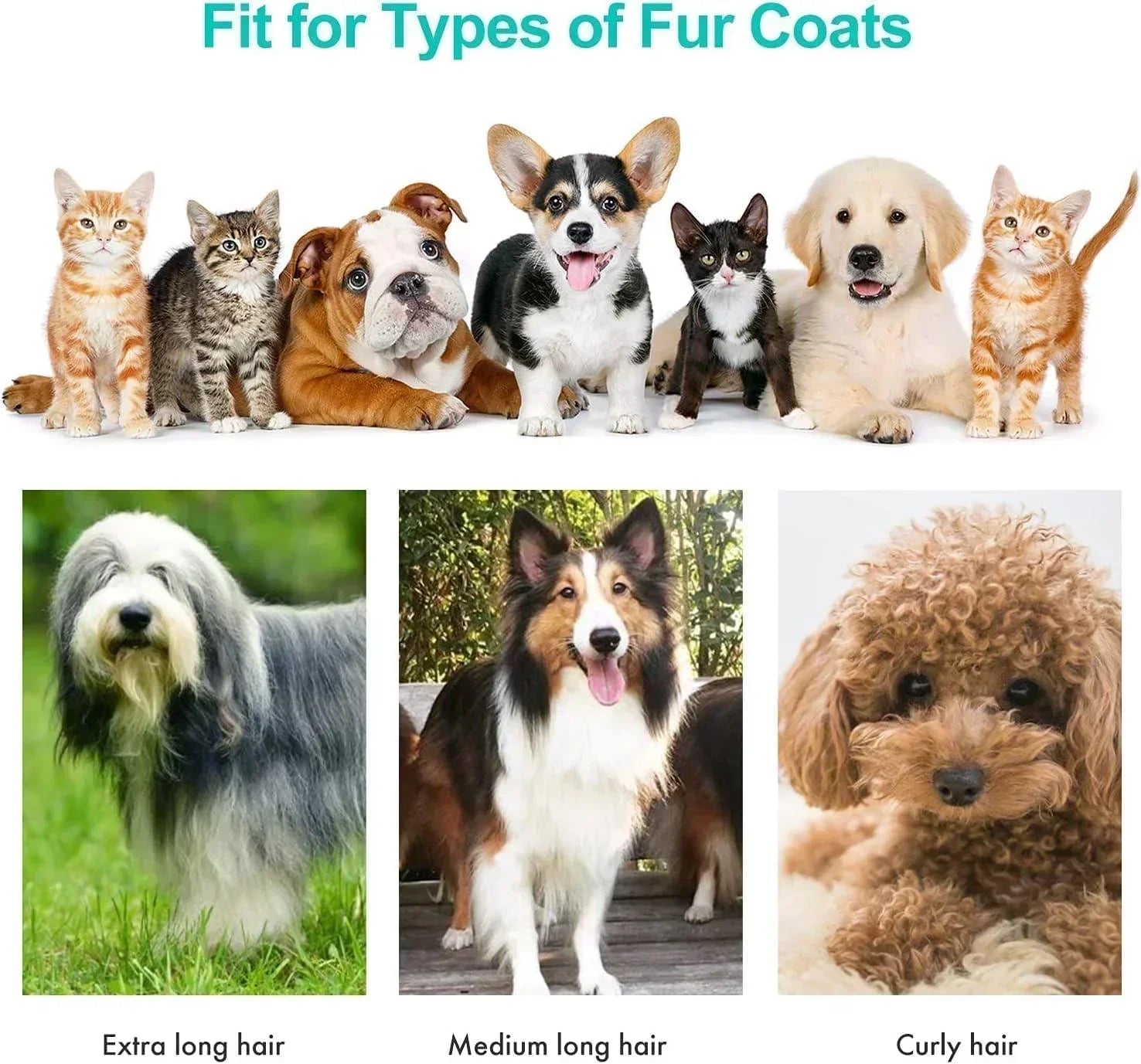 Buy Affordable HOCC P1 Pro Pet Grooming Kit & Vacuum Suction. in Dubai - UAE | Cheap Price