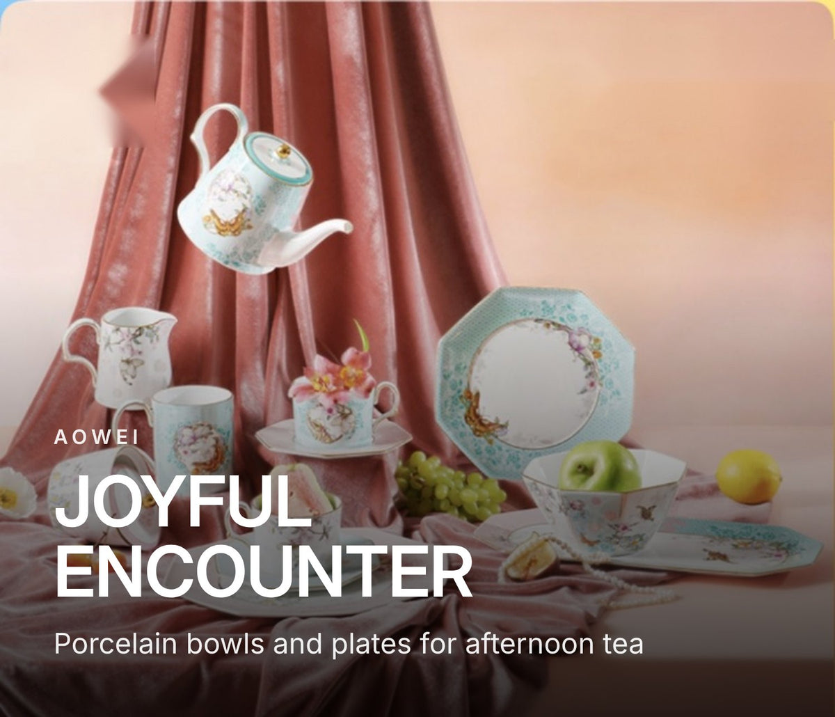 AOWEI Joyful Encounter Porcelain Bowls & Plates