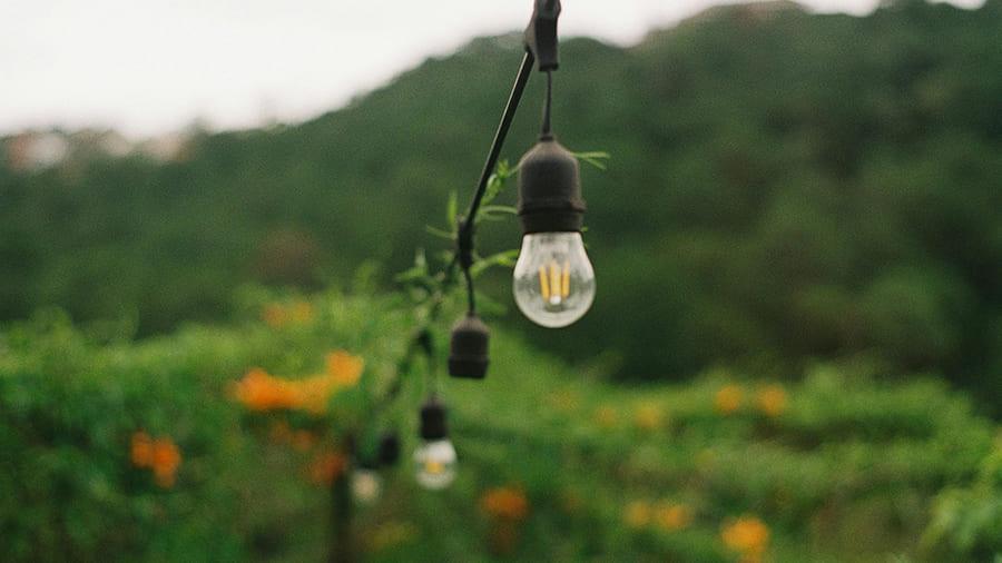 affordable Brighten Up Your Garden With HOCC Lights in Dubai - UAE | Cheap Prices Buy cheap and affordable sofas, chairs, lights, lamps, and home decor items online at factory wholesale prices in Dubai, Sharjah, Abu Dhabi, and across the UAE.