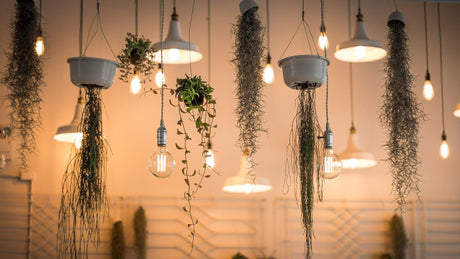 affordable Shop Home Decor Lamps & Lighting in the UAE in Dubai - UAE | Cheap Prices Buy cheap and affordable sofas, chairs, lights, lamps, and home decor items online at factory wholesale prices in Dubai, Sharjah, Abu Dhabi, and across the UAE.