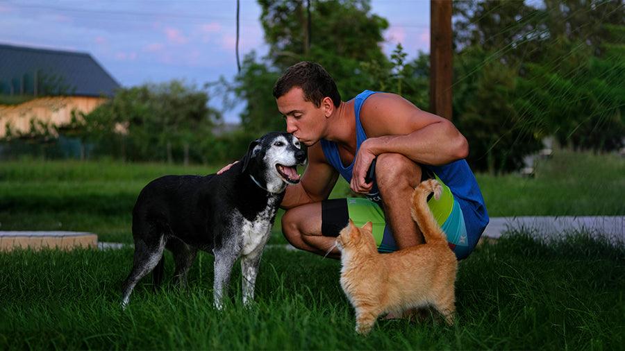 affordable Keeping your pets hydrated in Summer in Dubai - UAE | Cheap Prices Buy cheap and affordable sofas, chairs, lights, lamps, and home decor items online at factory wholesale prices in Dubai, Sharjah, Abu Dhabi, and across the UAE.