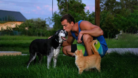 affordable Keeping your pets hydrated in Summer in Dubai - UAE | Cheap Prices Buy cheap and affordable sofas, chairs, lights, lamps, and home decor items online at factory wholesale prices in Dubai, Sharjah, Abu Dhabi, and across the UAE.