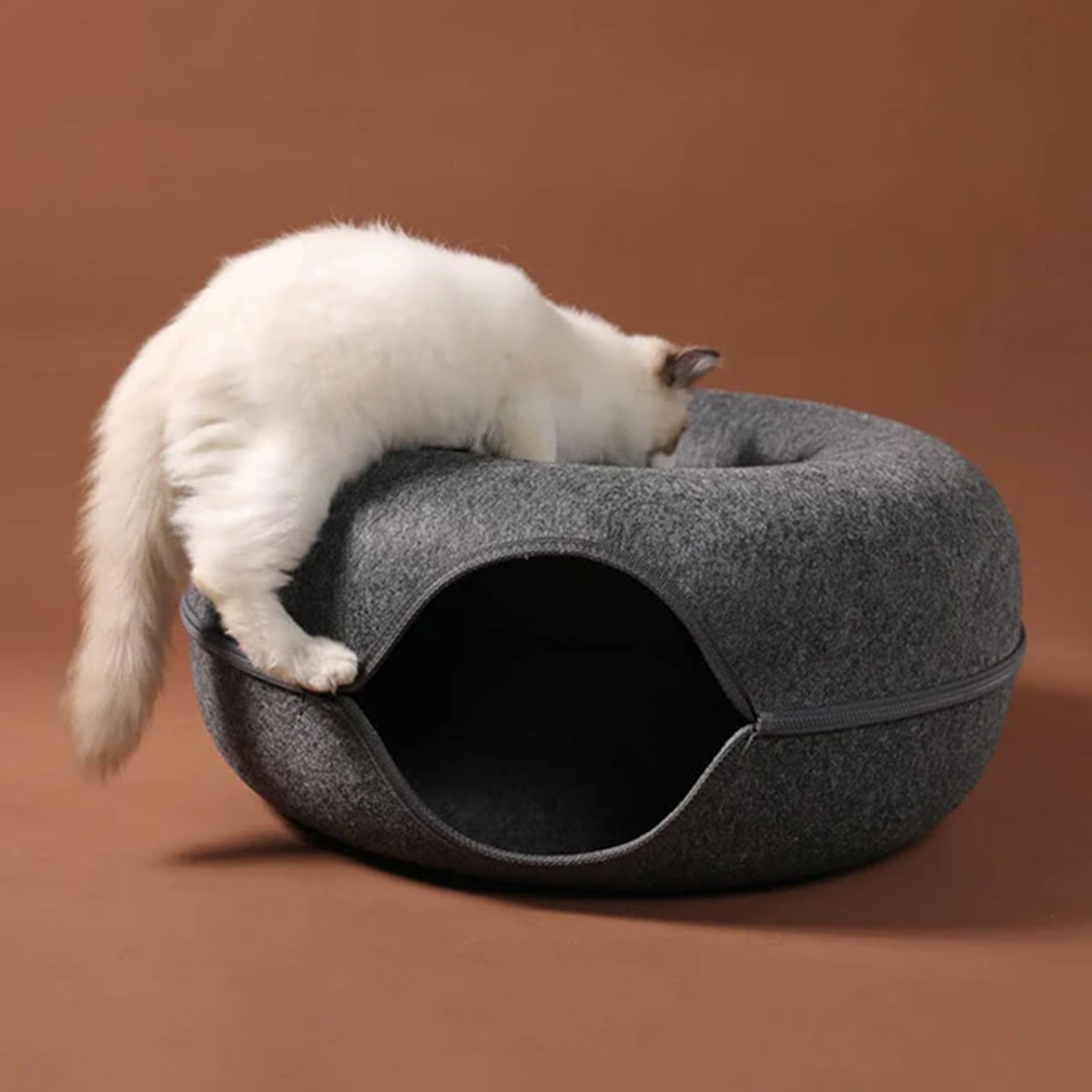 Cat Tunnel Bed for Indoor Cat - HOCC