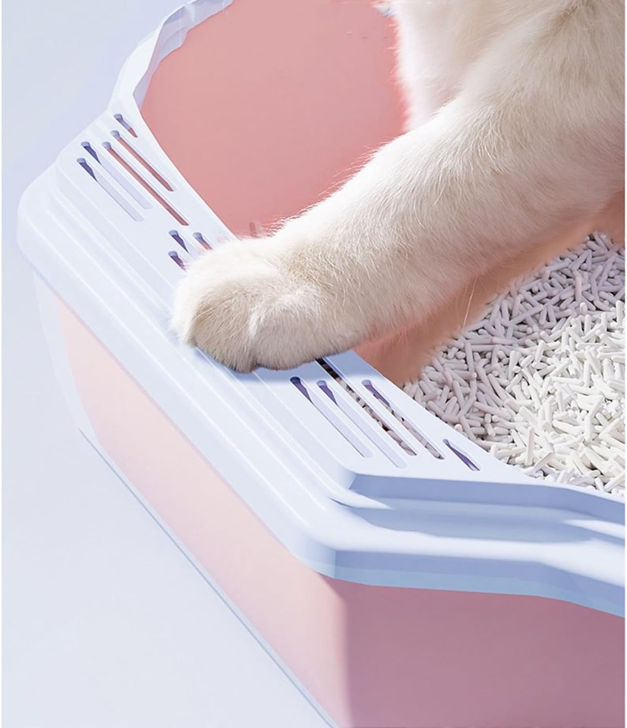 HOCC Cat Sandbox Pink - HOCC