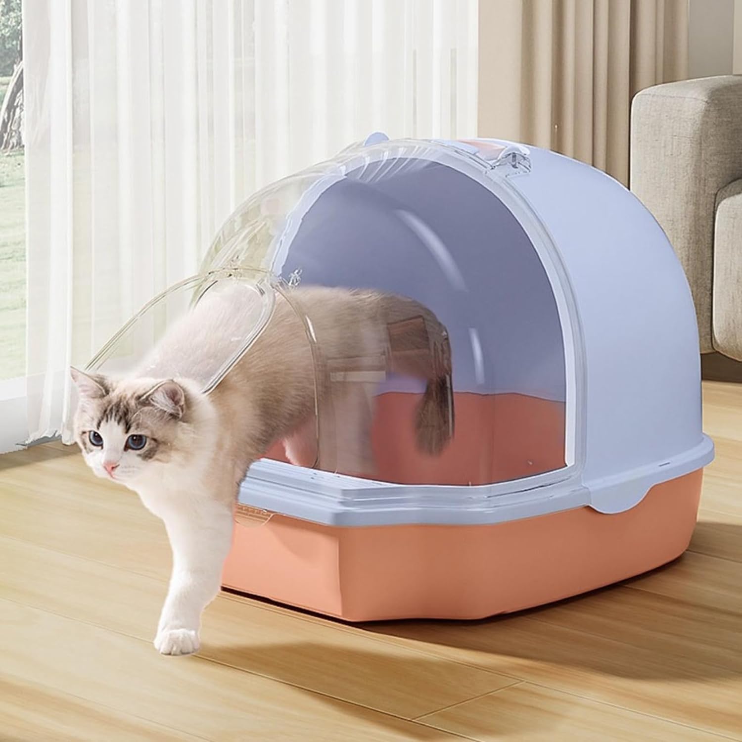 HOCC Cat Sandbox Pink - HOCC