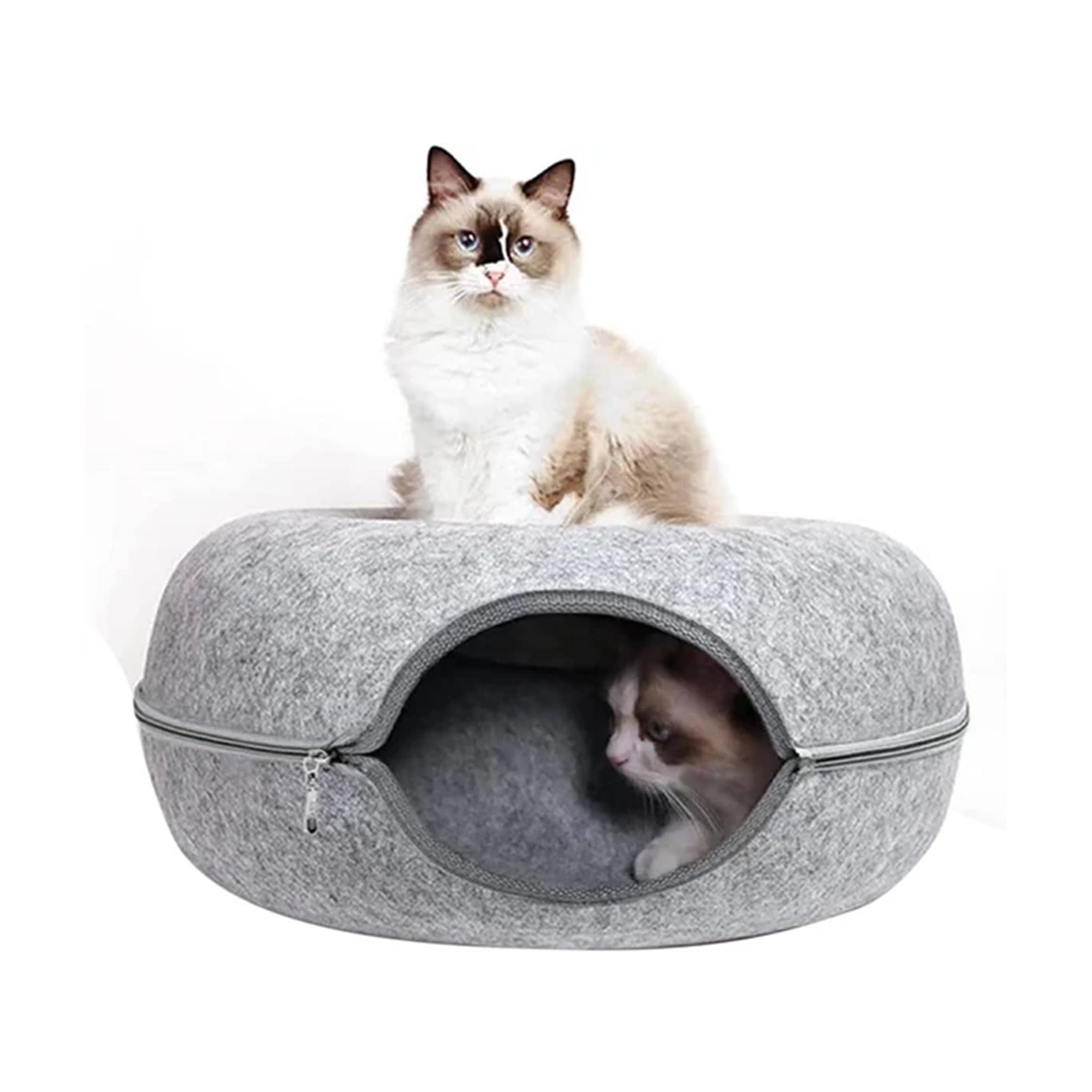 Cat Tunnel Bed for Indoor Cat - HOCC